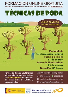 Técnicas de poda